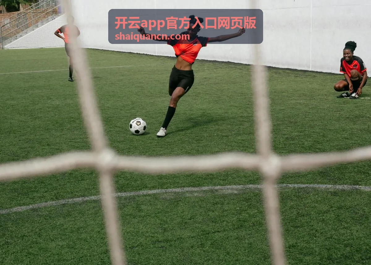 开云app官方入口网页版共享文件夹整理操作示意