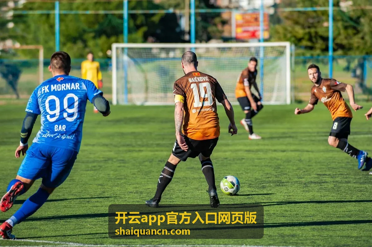 开云app官方入口网页版资料分发与权限设置操作示意